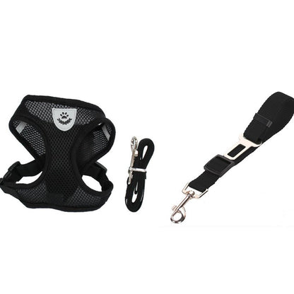 Pet Car Seat Belt Pet Leash from wag&wonder pet store