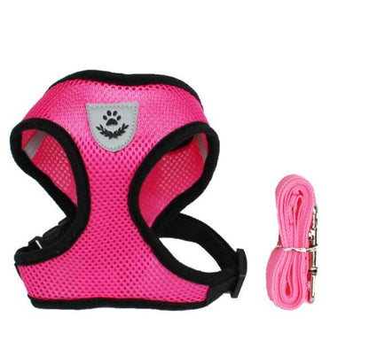 Pet Car Seat Belt Pet Leash from wag&wonder pet store