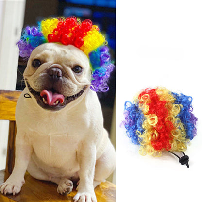 Colorful clown wig for pets featuring a happy dog wearing a curly multi-colored hairstyle.