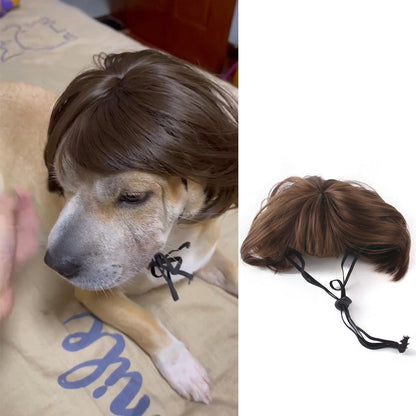 Dog wearing a brown wig as a Halloween or Christmas pet hair accessory, styled for fun occasions.