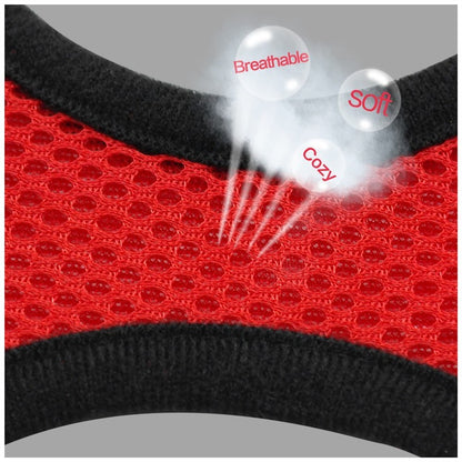 Pet Car Seat Belt Pet Leash from wag&wonder pet store