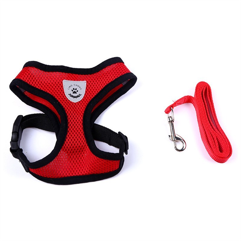 Pet Car Seat Belt Pet Leash from wag&wonder pet store