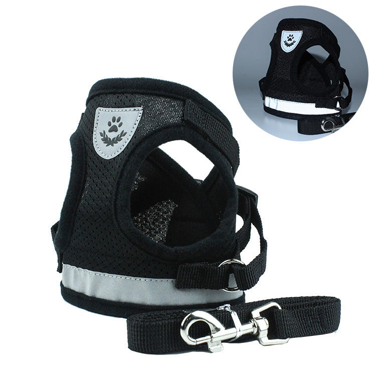 Pet Car Seat Belt Pet Leash from wag&wonder pet store