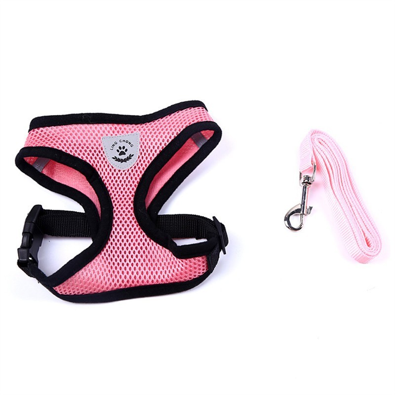 Pet Car Seat Belt Pet Leash from wag&wonder pet store