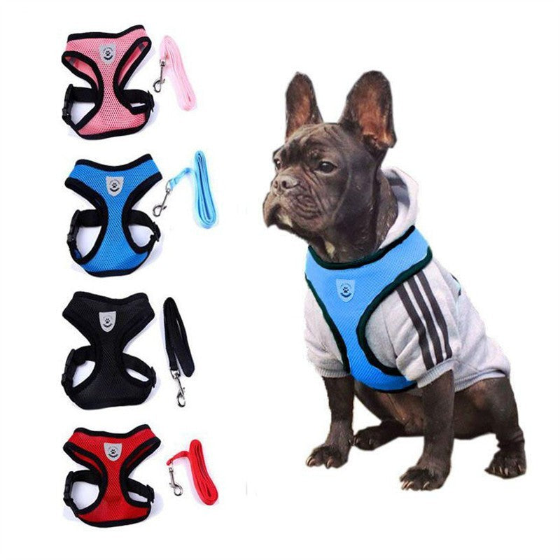 Pet Car Seat Belt Pet Leash from wag&wonder pet store