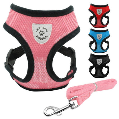 Pet Car Seat Belt Pet Leash from wag&wonder pet store