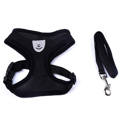Pet Car Seat Belt Pet Leash from wag&wonder pet store