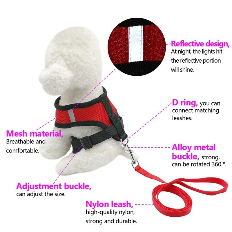 Pet Car Seat Belt Pet Leash from wag&wonder pet store