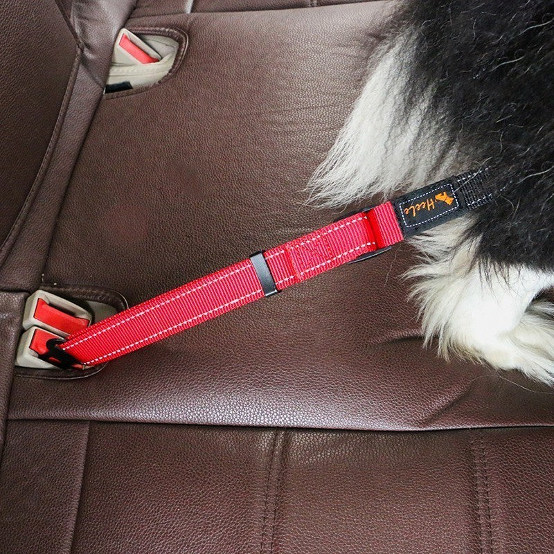 Pet Car Seat Belt from wag&wonder pet store