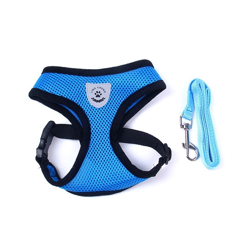 Pet Car Seat Belt Pet Leash from wag&wonder pet store