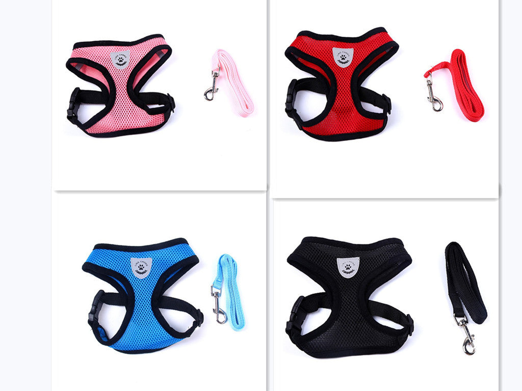 Pet Car Seat Belt Pet Leash from wag&wonder pet store