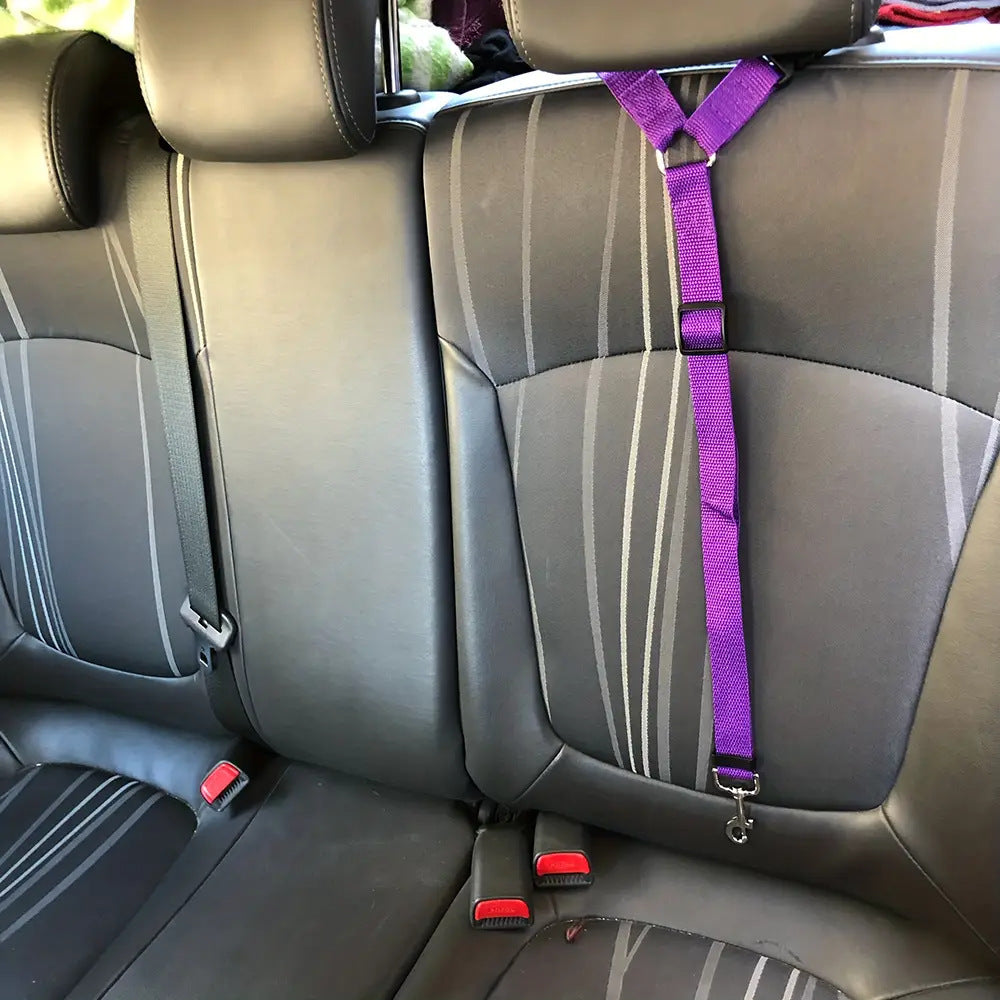 Solid Two-in-one Pet Car Seat Belt Lead Leash