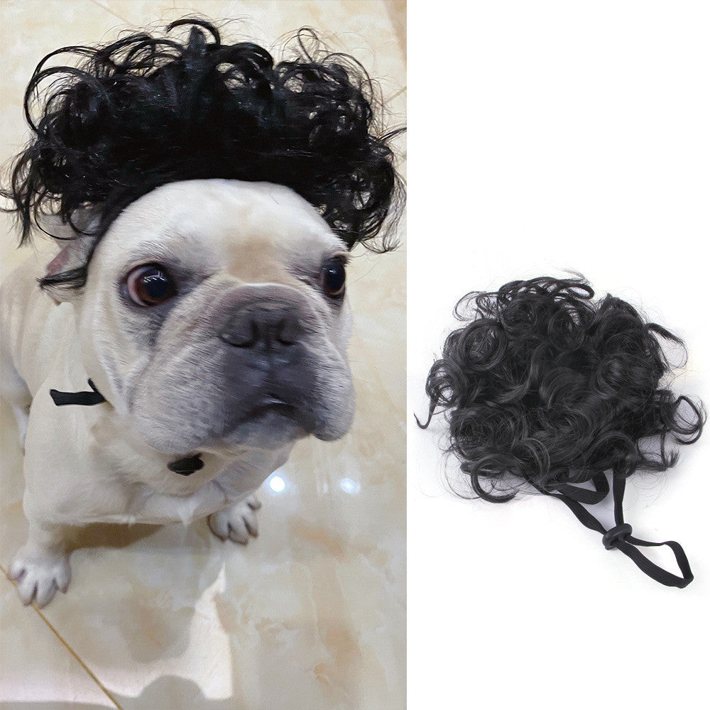 Black curly wig for pets, featuring a cute dog wearing the wig, perfect for Halloween and Christmas festivities.