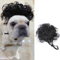 Black curly wig for pets, featuring a cute dog wearing the wig, perfect for Halloween and Christmas festivities.