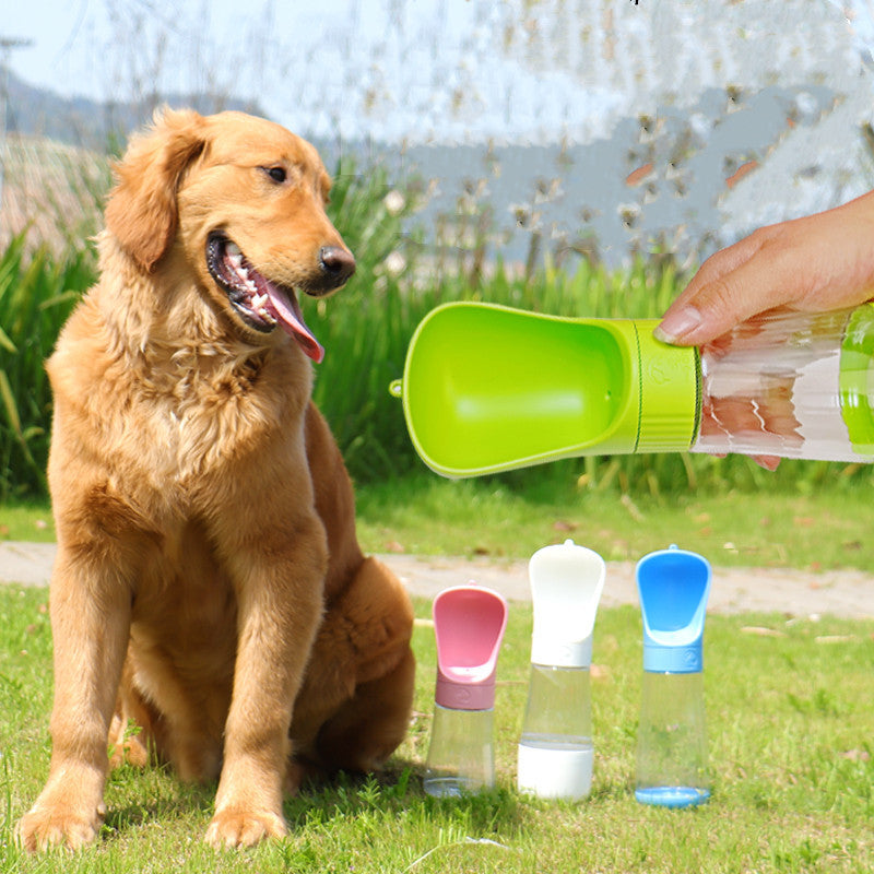 The Dog Travels With A Water Cup To Drink From An Outdoor Water